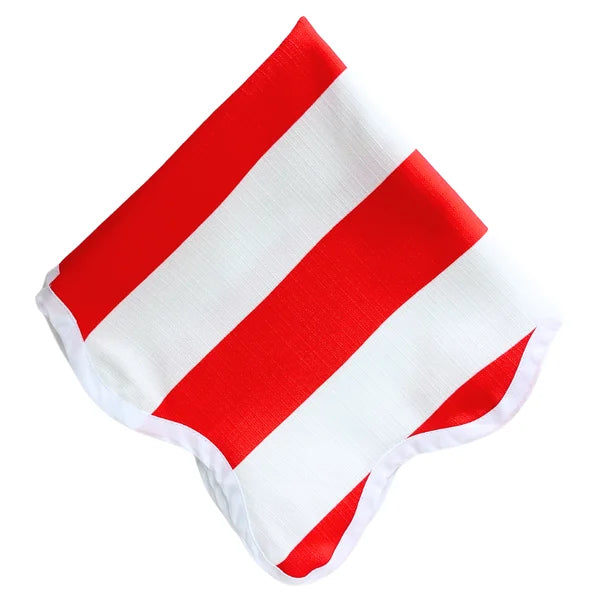 The Carmine Red Striped Napkins (Set of 4)